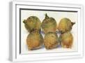White Frame