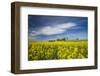 Sweden, Bergs Slussar, springtime landscape-Walter Bibikow-Framed Photographic Print