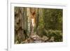 Sweden, Bohuslan Province. Path through wedged rocks near Uddevalla.-Emily Wilson-Framed Photographic Print