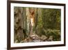 Sweden, Bohuslan Province. Path through wedged rocks near Uddevalla.-Emily Wilson-Framed Photographic Print