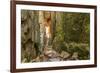 Sweden, Bohuslan Province. Path through wedged rocks near Uddevalla.-Emily Wilson-Framed Photographic Print