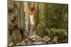 Sweden, Bohuslan Province. Path through wedged rocks near Uddevalla.-Emily Wilson-Mounted Photographic Print