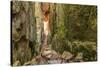 Sweden, Bohuslan Province. Path through wedged rocks near Uddevalla.-Emily Wilson-Stretched Canvas