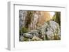 Sweden, Bohuslan Province. Path through wedged rocks near Uddevalla.-Emily Wilson-Framed Photographic Print