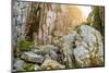 Sweden, Bohuslan Province. Path through wedged rocks near Uddevalla.-Emily Wilson-Mounted Photographic Print