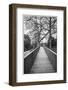 Sweden, Bohuslan, Tanumshede, Tanum Area, walkway to Bronze Age carvings-Walter Bibikow-Framed Photographic Print