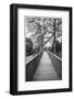 Sweden, Bohuslan, Tanumshede, Tanum Area, walkway to Bronze Age carvings-Walter Bibikow-Framed Photographic Print