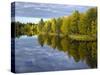 Sweden, Dalarna, Autumn on the Shores of Orsa Lake, Birch, Water Reflection-K. Schlierbach-Stretched Canvas