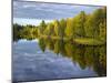 Sweden, Dalarna, Autumn on the Shores of Orsa Lake, Birch, Water Reflection-K. Schlierbach-Mounted Photographic Print