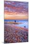 Sweden, Fall by the Hano Bay, Red Autumn Leaves on the Sandy Beach, Red Morning Sky, Baltic Beach-K. Schlierbach-Mounted Photographic Print