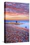 Sweden, Fall by the Hano Bay, Red Autumn Leaves on the Sandy Beach, Red Morning Sky, Baltic Beach-K. Schlierbach-Stretched Canvas