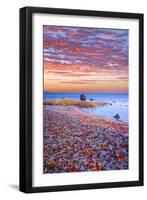 Sweden, Fall by the Hano Bay, Red Autumn Leaves on the Sandy Beach, Red Morning Sky, Baltic Beach-K. Schlierbach-Framed Photographic Print