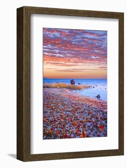 Sweden, Fall by the Hano Bay, Red Autumn Leaves on the Sandy Beach, Red Morning Sky, Baltic Beach-K. Schlierbach-Framed Photographic Print