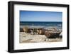 Sweden, Faro Island, Kursviken, coastal farmers fishing boats-Walter Bibikow-Framed Photographic Print