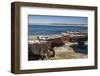 Sweden, Faro Island, Kursviken, coastal farmers fishing boats-Walter Bibikow-Framed Photographic Print