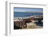 Sweden, Faro Island, Kursviken, coastal farmers fishing boats-Walter Bibikow-Framed Photographic Print