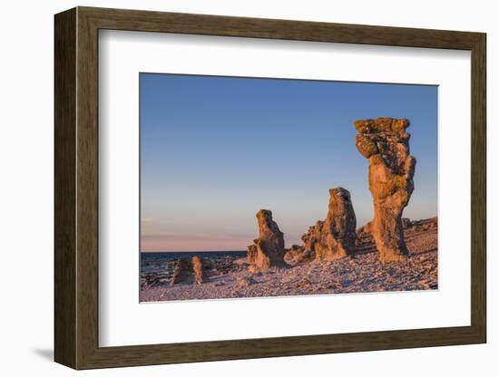 Sweden, Faro Island, Langhammars Area, Langhammar coastal limestone rauk rock, sunset-Walter Bibikow-Framed Photographic Print