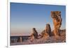 Sweden, Faro Island, Langhammars Area, Langhammar coastal limestone rauk rock, sunset-Walter Bibikow-Framed Photographic Print