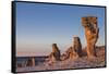 Sweden, Faro Island, Langhammars Area, Langhammar coastal limestone rauk rock, sunset-Walter Bibikow-Framed Stretched Canvas