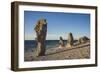 Sweden, Faro Island, Langhammars Area, Langhammar coastal limestone rauk rock, sunset-Walter Bibikow-Framed Photographic Print