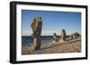 Sweden, Faro Island, Langhammars Area, Langhammar coastal limestone rauk rock, sunset-Walter Bibikow-Framed Photographic Print