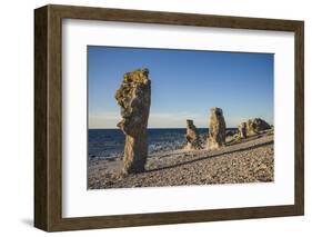 Sweden, Faro Island, Langhammars Area, Langhammar coastal limestone rauk rock, sunset-Walter Bibikow-Framed Photographic Print