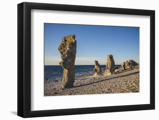 Sweden, Faro Island, Langhammars Area, Langhammar coastal limestone rauk rock, sunset-Walter Bibikow-Framed Photographic Print