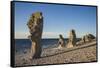 Sweden, Faro Island, Langhammars Area, Langhammar coastal limestone rauk rock, sunset-Walter Bibikow-Framed Stretched Canvas