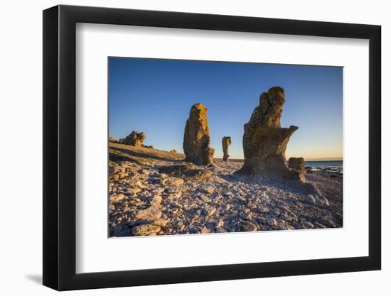 Sweden, Faro Island, Langhammars Area, Langhammar coastal limestone rauk rock, sunset-Walter Bibikow-Framed Photographic Print