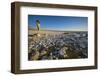 Sweden, Faro Island, Langhammars Area, Langhammar coastal limestone rauk rock, sunset-Walter Bibikow-Framed Photographic Print