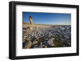 Sweden, Faro Island, Langhammars Area, Langhammar coastal limestone rauk rock, sunset-Walter Bibikow-Framed Photographic Print