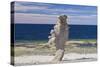 Sweden, Faro Island, Langhammars Area, Langhammar coastal limestone rauk rock-Walter Bibikow-Stretched Canvas