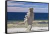 Sweden, Faro Island, Langhammars Area, Langhammar coastal limestone rauk rock-Walter Bibikow-Framed Stretched Canvas