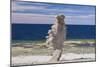 Sweden, Faro Island, Langhammars Area, Langhammar coastal limestone rauk rock-Walter Bibikow-Mounted Photographic Print