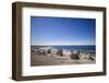 Sweden, Faro Island, Langhammars Area, Langhammar coastal limestone rauk rocks with visitors-Walter Bibikow-Framed Photographic Print