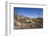 Sweden, Gotland Island, Bungenas, former chalk mine and military base-Walter Bibikow-Framed Photographic Print