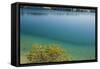 Sweden, Gotland Island, Labro, Bla Lagunen, Blue Lagoon, natural swimming area-Walter Bibikow-Framed Stretched Canvas