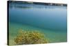 Sweden, Gotland Island, Labro, Bla Lagunen, Blue Lagoon, natural swimming area-Walter Bibikow-Stretched Canvas