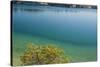 Sweden, Gotland Island, Labro, Bla Lagunen, Blue Lagoon, natural swimming area-Walter Bibikow-Stretched Canvas