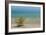 Sweden, Gotland Island, Labro, Bla Lagunen, Blue Lagoon, natural swimming area-Walter Bibikow-Framed Photographic Print