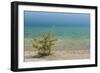 Sweden, Gotland Island, Labro, Bla Lagunen, Blue Lagoon, natural swimming area-Walter Bibikow-Framed Photographic Print