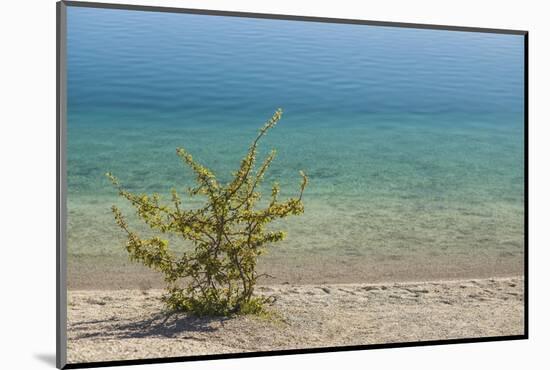 Sweden, Gotland Island, Labro, Bla Lagunen, Blue Lagoon, natural swimming area-Walter Bibikow-Mounted Photographic Print