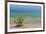 Sweden, Gotland Island, Labro, Bla Lagunen, Blue Lagoon, natural swimming area-Walter Bibikow-Framed Photographic Print