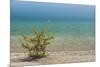 Sweden, Gotland Island, Labro, Bla Lagunen, Blue Lagoon, natural swimming area-Walter Bibikow-Mounted Photographic Print