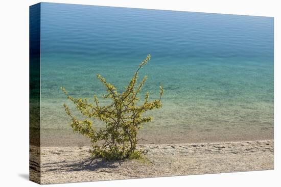 Sweden, Gotland Island, Labro, Bla Lagunen, Blue Lagoon, natural swimming area-Walter Bibikow-Stretched Canvas