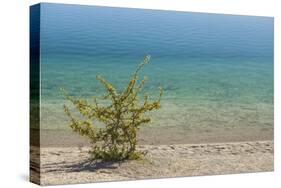 Sweden, Gotland Island, Labro, Bla Lagunen, Blue Lagoon, natural swimming area-Walter Bibikow-Stretched Canvas