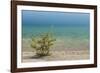 Sweden, Gotland Island, Labro, Bla Lagunen, Blue Lagoon, natural swimming area-Walter Bibikow-Framed Photographic Print