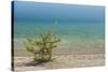 Sweden, Gotland Island, Labro, Bla Lagunen, Blue Lagoon, natural swimming area-Walter Bibikow-Stretched Canvas