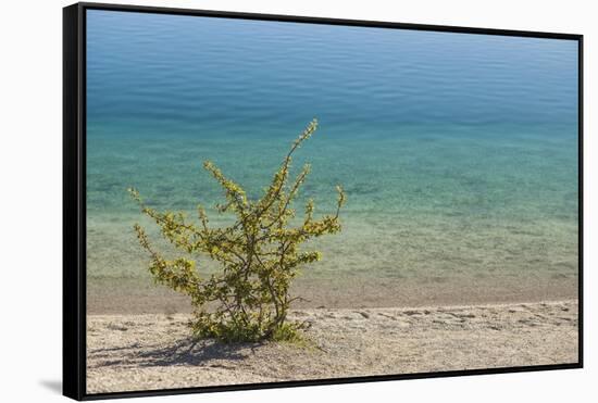 Sweden, Gotland Island, Labro, Bla Lagunen, Blue Lagoon, natural swimming area-Walter Bibikow-Framed Stretched Canvas