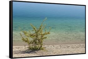 Sweden, Gotland Island, Labro, Bla Lagunen, Blue Lagoon, natural swimming area-Walter Bibikow-Framed Stretched Canvas